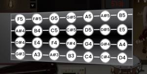 Strings with a the notes labeled on them.