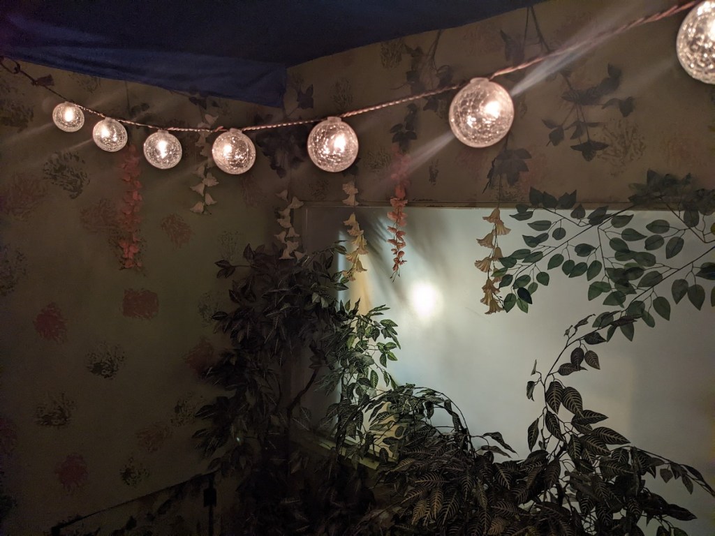 A string of lights above some plants and ivy.