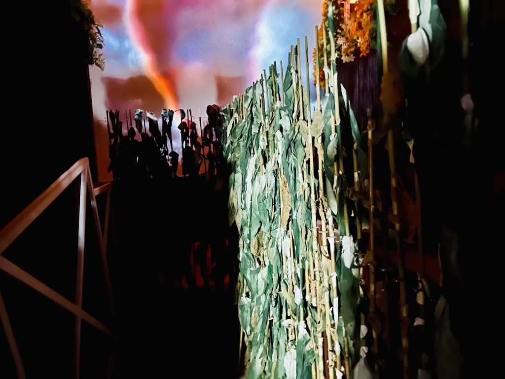 A corn field with a tornado off in the distance.