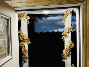 A view out a home's backdoor. The sky looks dark and stormy.