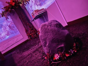 A rock on the floor with a tree off in the distance.