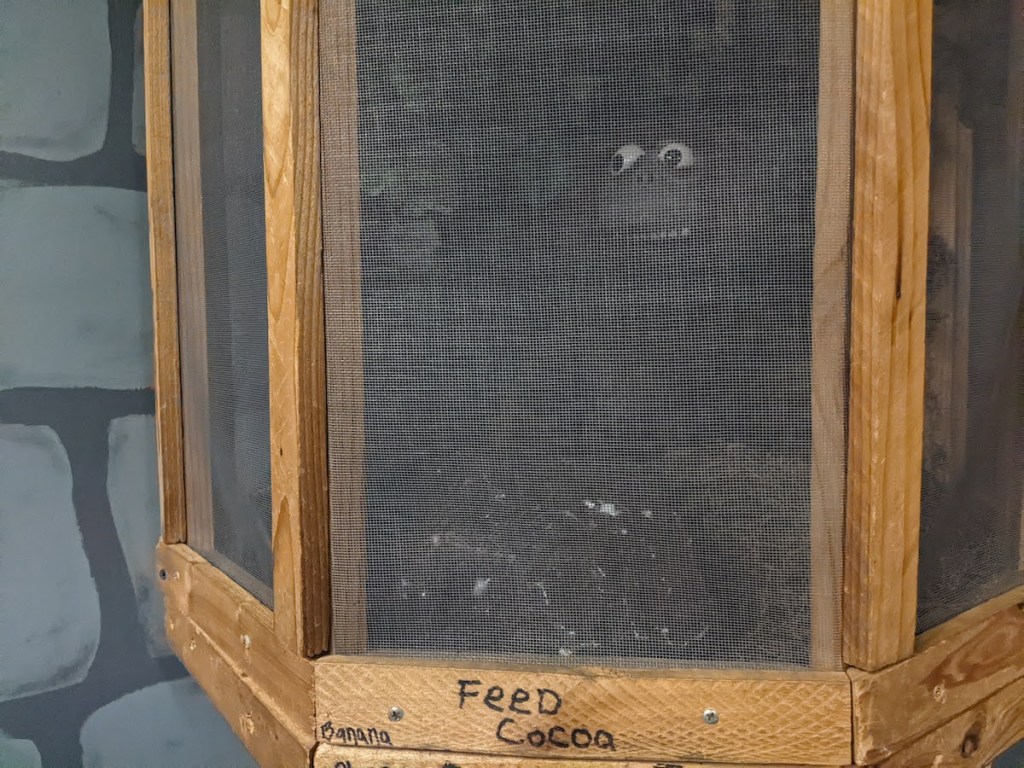 A monster in a small cage.