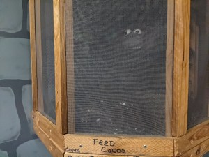 A monster in a small cage.