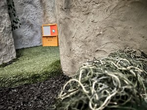 An orange black box with a green light on it, sitting on the ground beside a rockface.