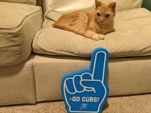 A cat on a couch looking curiously at a foam hand that says "Go Cubs"