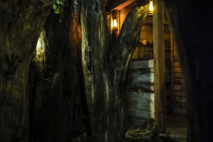 A large dead tree beside a wooden cabin.