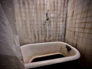 An ugly old bathtub with a couple inches of dark, gross water at the bottom.