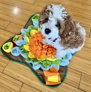 cavapoo puppy sitting on a snuffle mat with flower pattern