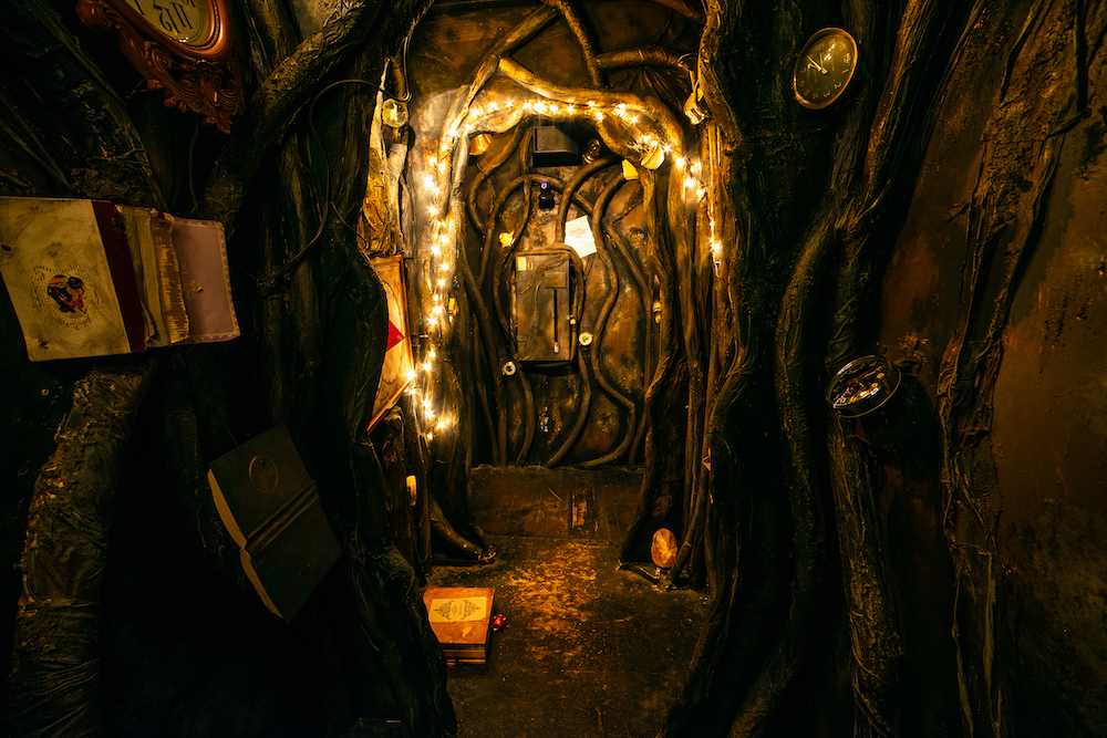A long rabbit hole surrounded by roots, clocks, and books.