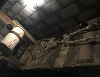 The Escape Room Fishers – A Night At the Castle –  [Review]