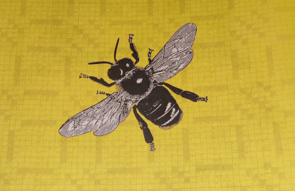 Illustration of a bee against a yellow crossword puzzle background.