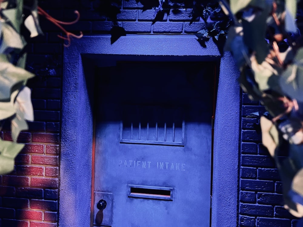 Imposing metal door reads, "Patient Intake"