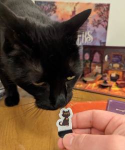 A real black cat sniffing a paper character stand of a black cat character.