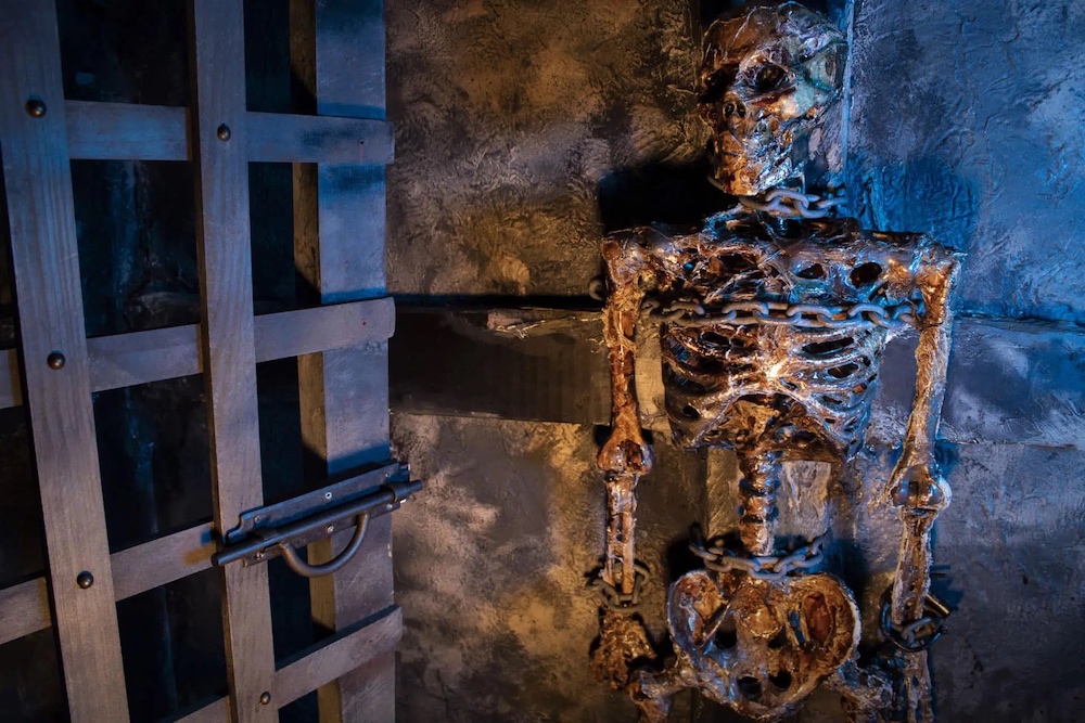 A decaying skeleton chained to a dungeon wall.