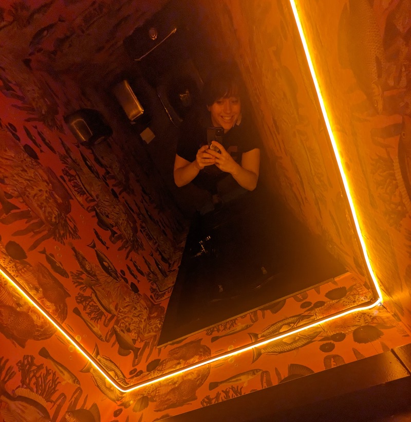 Theresa standing above a toilet, taking a selfie in the full-ceiling mirror over head.