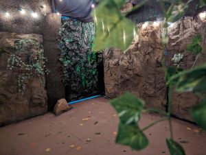 A cave lit with a string of lights.