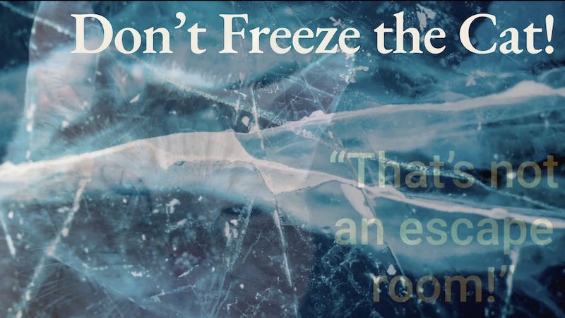Video Title Card: A cat frozen in a block of ice. Text reads, "Don't freeze the cat!"