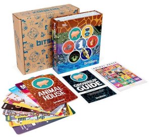 Bitsbox materials beside a box.