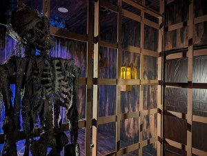 A decaying skeleton hung from the bars of a cage.