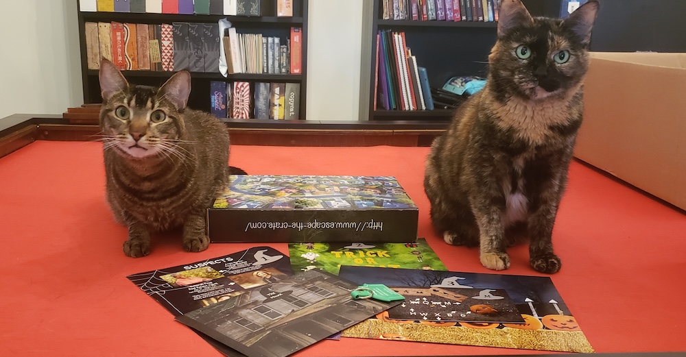 Escape the Crate – Escape the Witch Trials [Review]