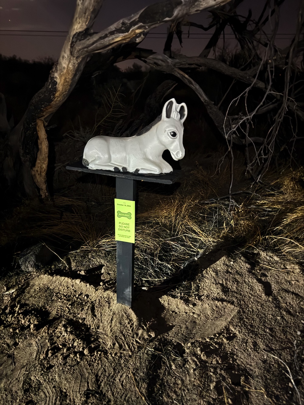 AZ Treasure Hunt 2024 [Reaction]