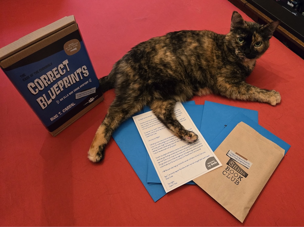 A cat sitting beside the "Correct Blueprints" gamebox and atop its contents - mostly hidden in blue envelopes.