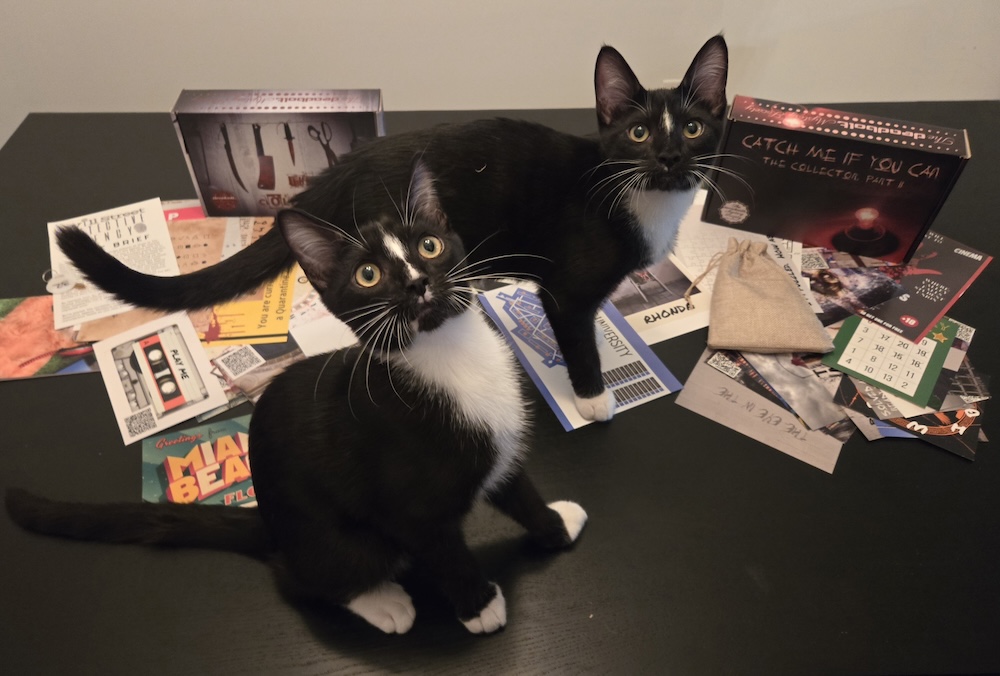 Deadbolt Mystery Society – The Collector & Catch Me If You Can [Review]