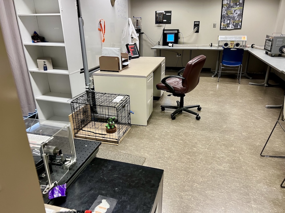 A science lab with escape room puzzles within.