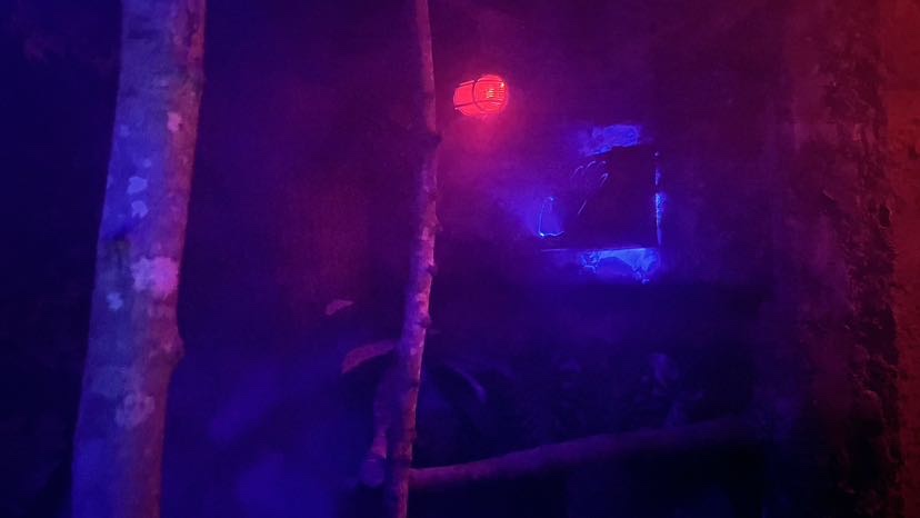 A red light glowing a the haze of a forest.