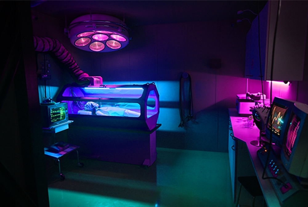 👑🔒 Next Level Escape – The Dark Memories of Elisa Doll [Review]