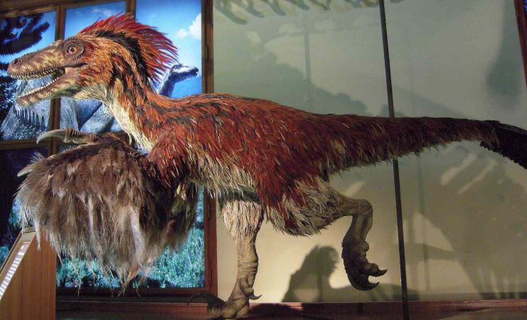 feathered dinosaur