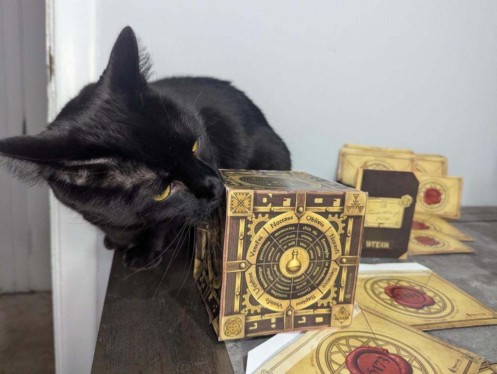 A black cat sniffs and investigates a paper cube. The cube has strange words and images on it. Also on the table are paper envelopes with large red seals and numbers written on the seals.