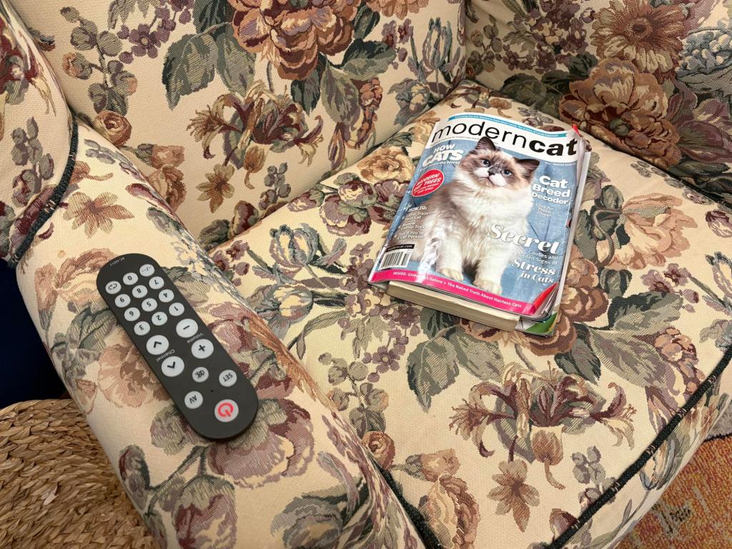Closeup of an easy chair with a mauve, green and gold floral print. A black remote sits on the arm of the chair, and a copy of Modern Cat magazine is on the seat cushion.