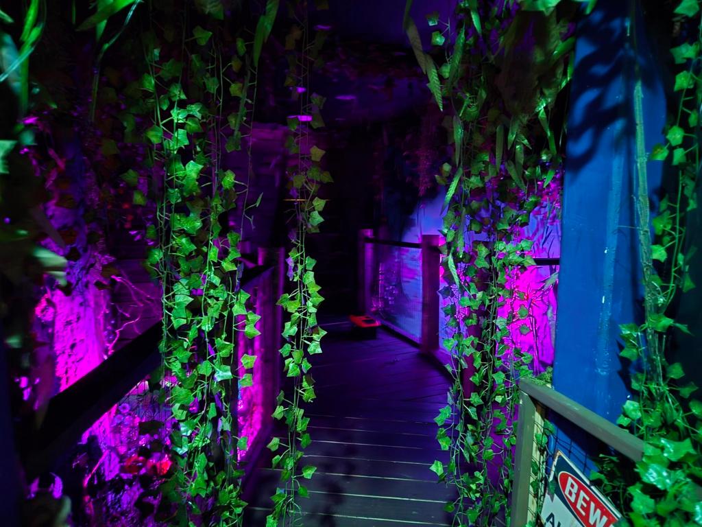 A path constructed from wooden planks with wire and wood railings on either side. Vines hang down in the entryway.