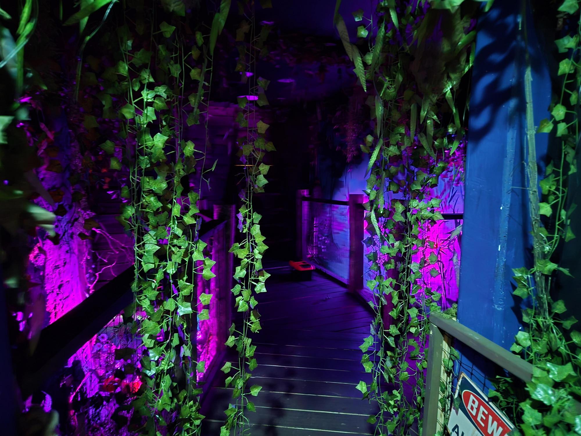 Puzzle Corp. Escape Rooms – Bigfoot: Secrets of the Swamp [Review]