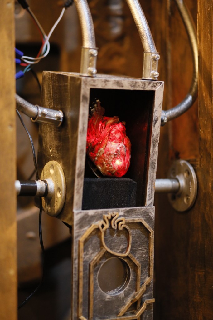 heart in a box with tubes attached