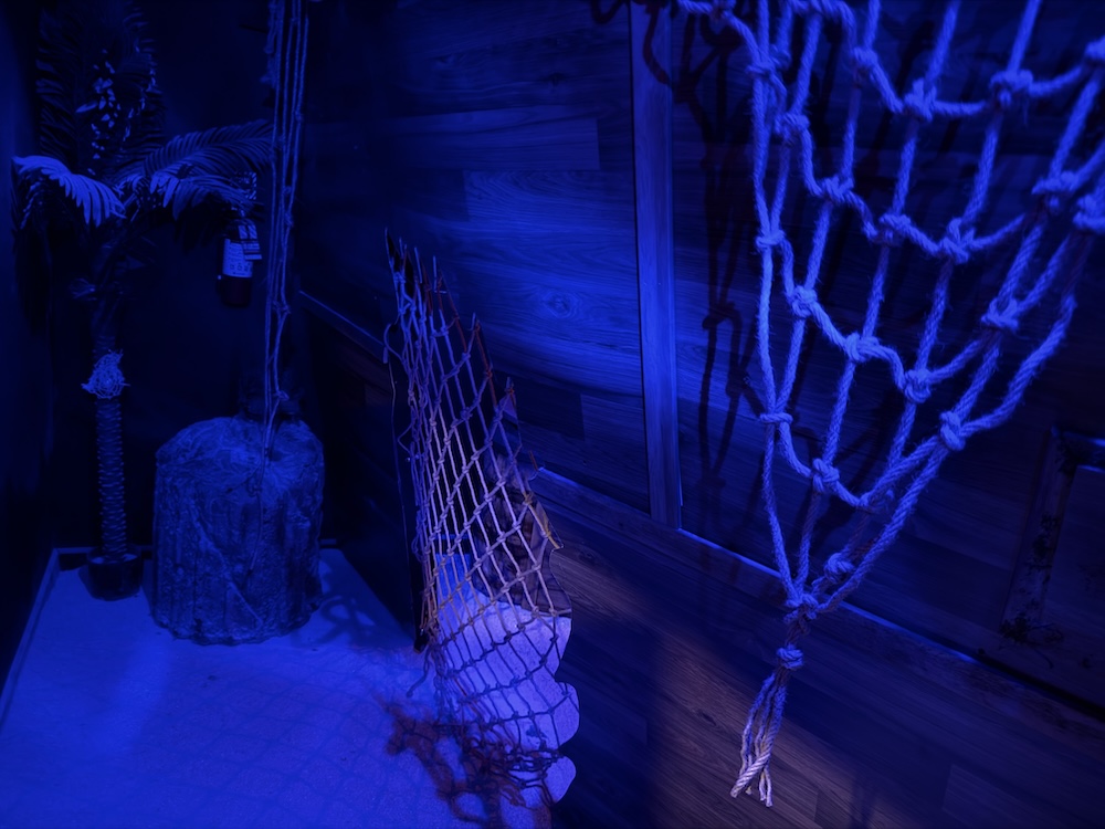 The side of a shipwreck, a hole in the side of the ship is covered in netting.