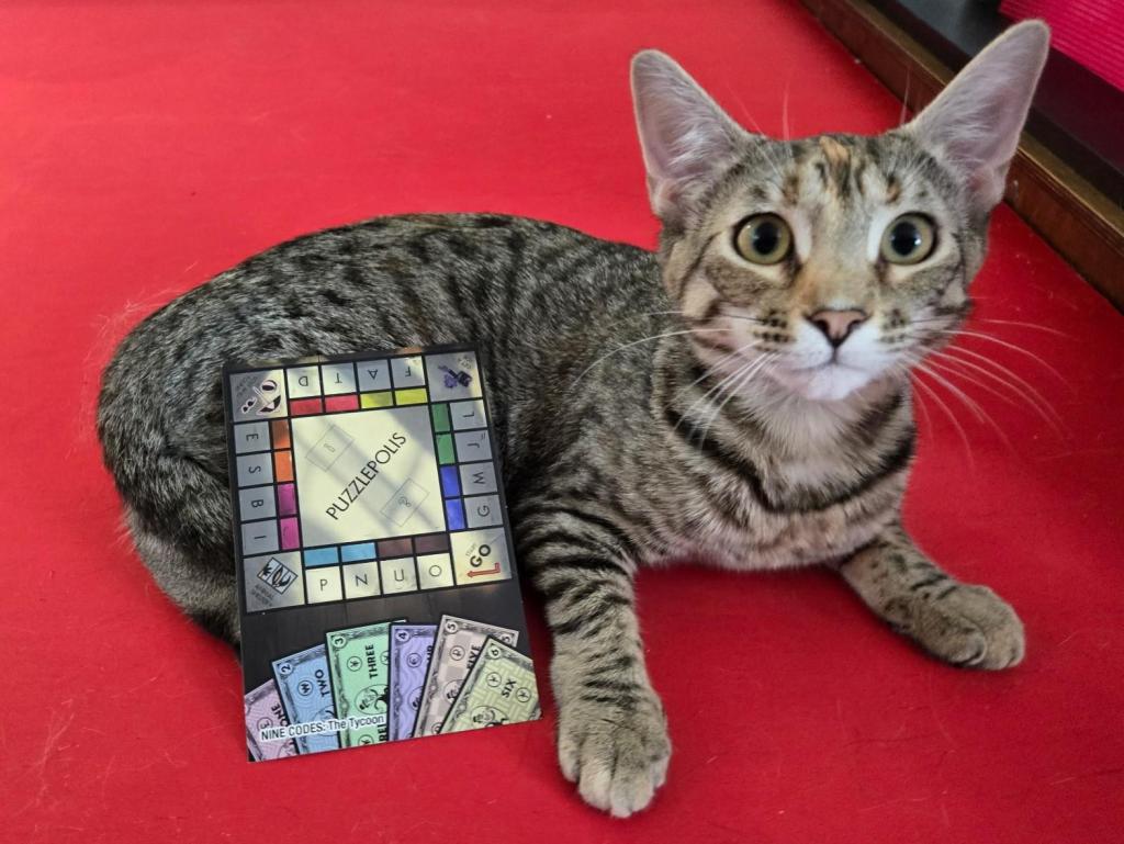 Brown tabby kitten laying on a red table. The game board for Nine Codes is leaned against her.