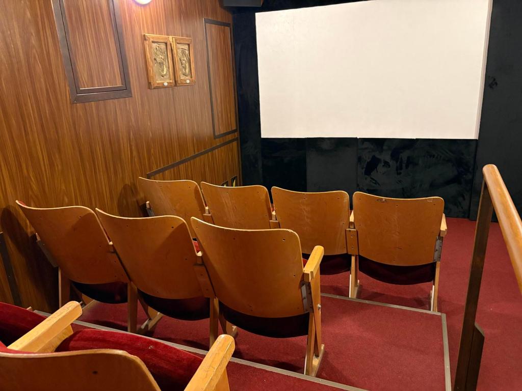 Image of a small theater from the back row showing seats with wooden backs, red carpeting, and a large blank movie screen.