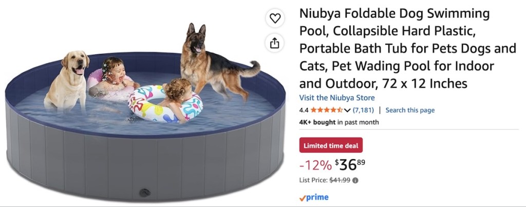 Screenshot of a 6 foot circular kiddy pool with two children and two dogs poorly photoshopped into the water.