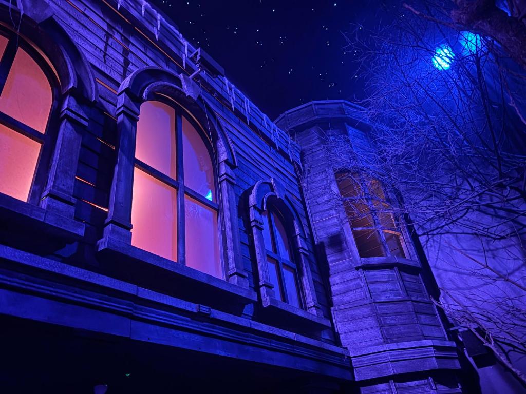 Image looking up at windows and a rounded turret, with a backlit tree that shows bare branches and starry sky above. Image has a blueish overtone.