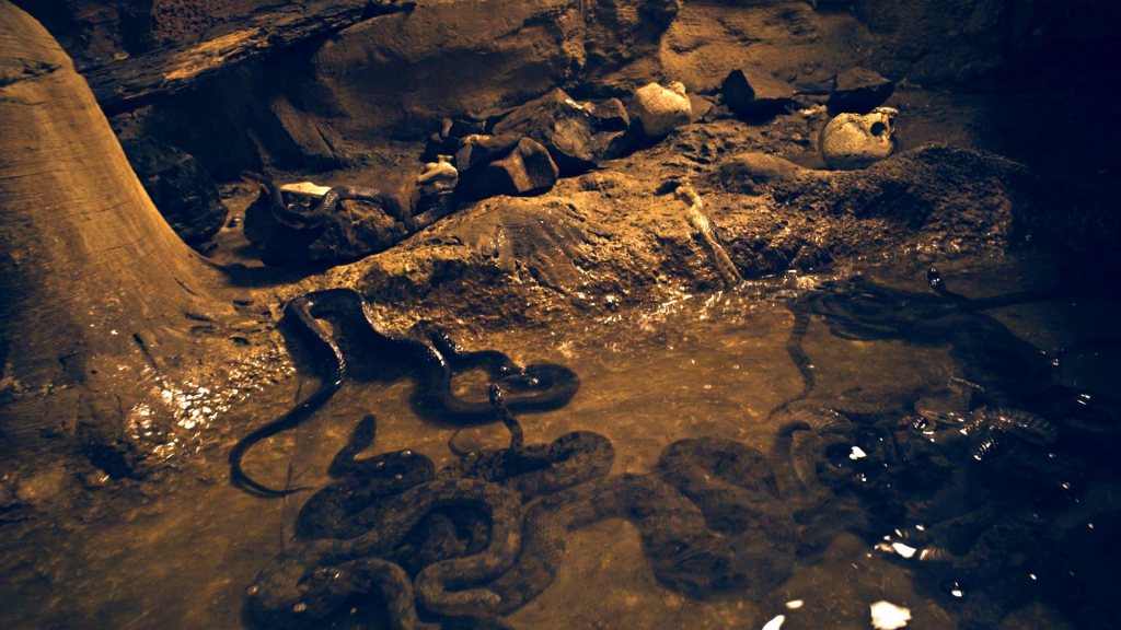 stone pit in cavern filled with water, skulls, and live snakes